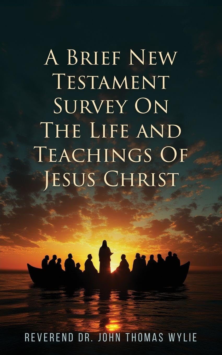 Cover of A Brief New Testament: Survey on the life and Teachings of Jesus Christ (Book II)